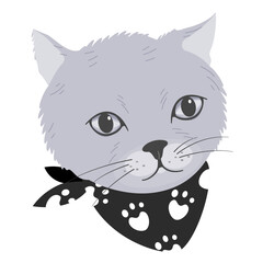 Cute cat face with scarf, flat vector.