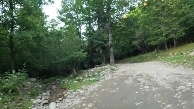 tripper offroad driving in the mountain ridge forest walk