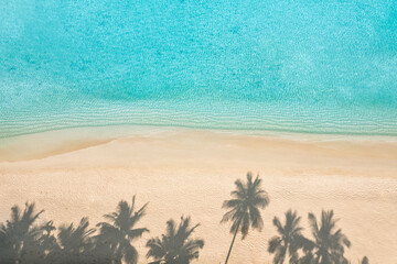Palm trees shadows on sandy beach, calm sea waves. Turquoise ocean coast from above. Amazing summer...
