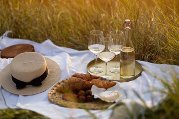 Beautiful summer picnic in the park with tasty fresh berries, croissants, cheese and wine. Pleasure time at nature.	