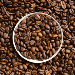 Selected Arabica coffee beans.