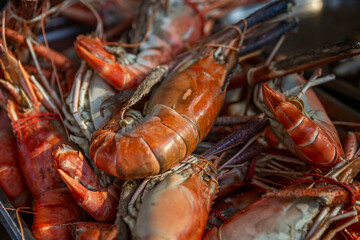 Lots of red crayfish on the counter. Delicious and popular street food and beer snack. Close-up.