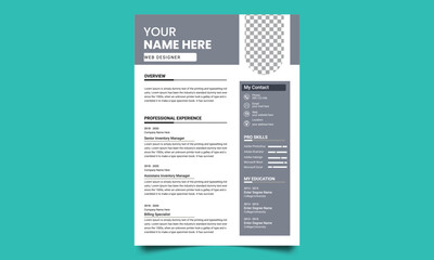 Professional CV resume template design. Business layout vector clean for job applications. In A4 size.