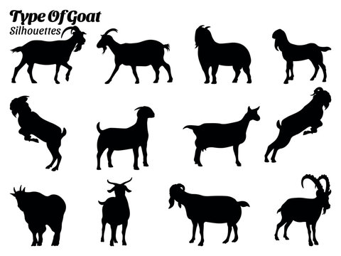 Goat types silhouette vector set