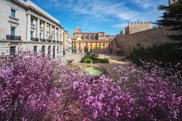Fototapeta na wymiar Plaza Adolfo Suarez Square with Avila Walls and Cathedral - Avila, Spain