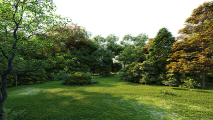 Fototapeta na wymiar Green park transparent background. 3D rendering (3)