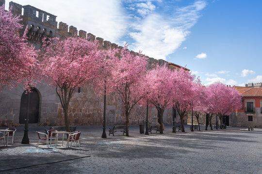Plazuela de Pedro Davila Square and Davila Palace - Avila, Spain