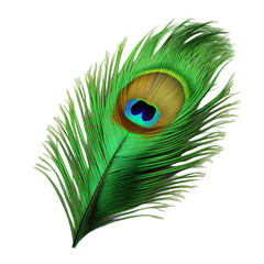 Isolated PNG cut out of a Peacock feather, Generative ai