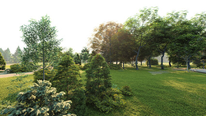Green park transparent background. 3D rendering (3)