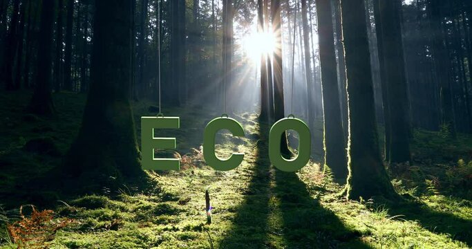 ECO words swing on the string in magic fairy tale forest.