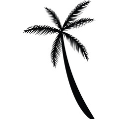 palm tree silhouette