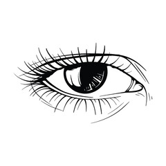 Obraz premium Beautiful hand drawn sketch eye vector illustration line art