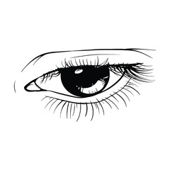 Obraz premium Beautiful hand drawn sketch eye vector illustration line art
