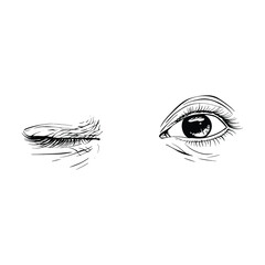 Obraz premium Beautiful hand drawn sketch female eyes vector illustration line art