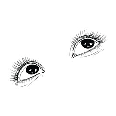 Beautiful hand drawn sketch female eyes vector illustration line art