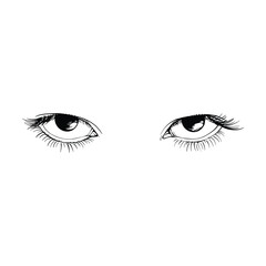 Beautiful hand drawn sketch female eyes vector illustration line art