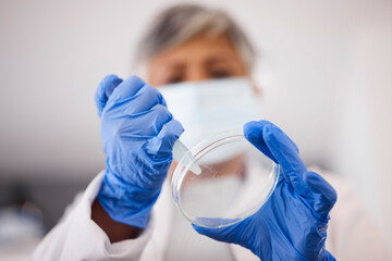 Hands, petri dish and scientist with DNA sample, science experiment and medical research, chemical...