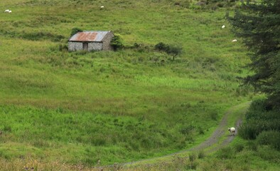 Landscape of rural County Leitrim, Ireland featuring old derelict Stone building in field with...