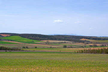 Fototapeta na wymiar Paisaje rural en Castilla y León 