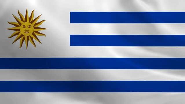 Flag of the uruguay waving animation. looping National uruguay flag animation background.