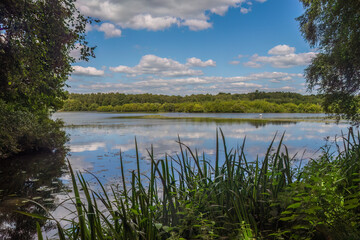 Walking around Mere Sands woods and Rufford