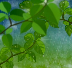 leaf in a rainy days and colorful with green fresh