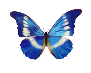 Fototapeta na wymiar cartoon butterfly with beautiful wings png