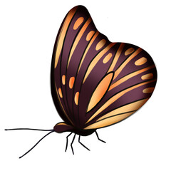 Fototapeta na wymiar butterfly cartoon icon PNG