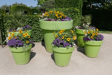 Blumen in Blumentöpfen im Park der Gärten in Bad Zwischenahn