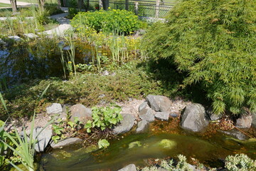 Teich im Park der Gärten in Bad Zwischenahn