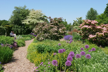 Blumen und blühende Büsche im Park