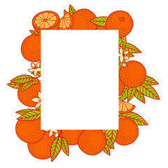 Festive card for invitations with empty frame surrounded by ripe bright sweet oranges, green leaves and blossoming flowers on white background