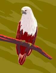 Fototapeta premium WPA poster art of a brahminy kite Haliastur indus or red-backed sea-eagle perching on branch viewed from front done in works project administration or art deco style. 