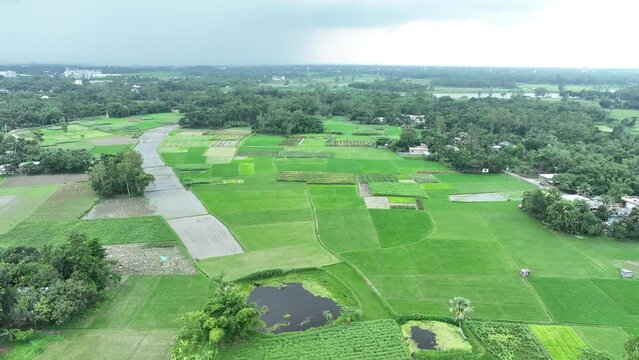 Aerial view of a village, bogura, bangladesh