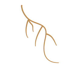 Simple Brown Root Illustration