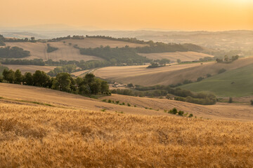 Fototapeta na wymiar Marche Region Countryside with grainfields near Senigallia