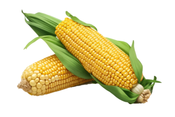 corn