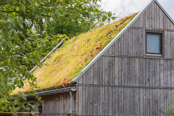 Green roof with plants on wodoen house in Drenthe near Exloo in The Netherlands