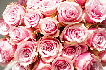 Bouquet of pink roses, top view. Beautiful, bright floral background. Close up.