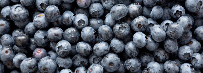 Organic Blueberries Background