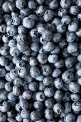 Organic Blueberries Background