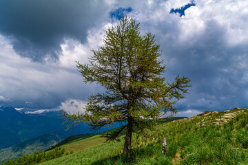 Primavera in Valle Ellero, tra laghi, vette  e rododendri in fiore (Mondovì – Cuneo)