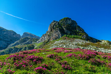 Primavera in Valle Ellero, tra laghi, vette  e rododendri in fiore (Mondovì – Cuneo)