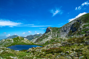 Primavera in Valle Ellero, tra laghi, vette  e rododendri in fiore (Mondov&igrave; &ndash; Cuneo)