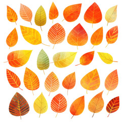 Obraz premium Watercolor fall leaves in rich autumnal colors isolated on white background