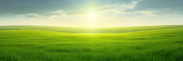 Fototapeta na wymiar Vibrant green field of growing grass in warm sunlight, wide landscape minimalist panorama