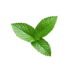 mint leaves isolated on white background created with Generative AI