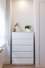 Interior of a bright minimalist children's bedroom. White dresser with drawers, children's decor and plant. .Interior, design, living concept