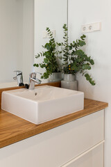 Interior decoration of the bathroom with white ceramic sink and faucet on wooden countertop and cabinet with drawers. Decoration with mirror on the wall and plant