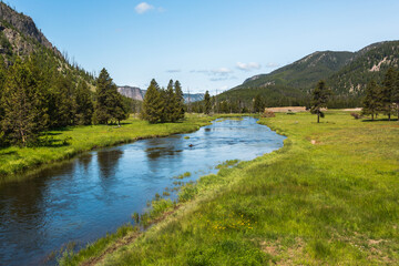 Beautiful Gibbon River landscape in the Yellowstone National Park, Wyoming